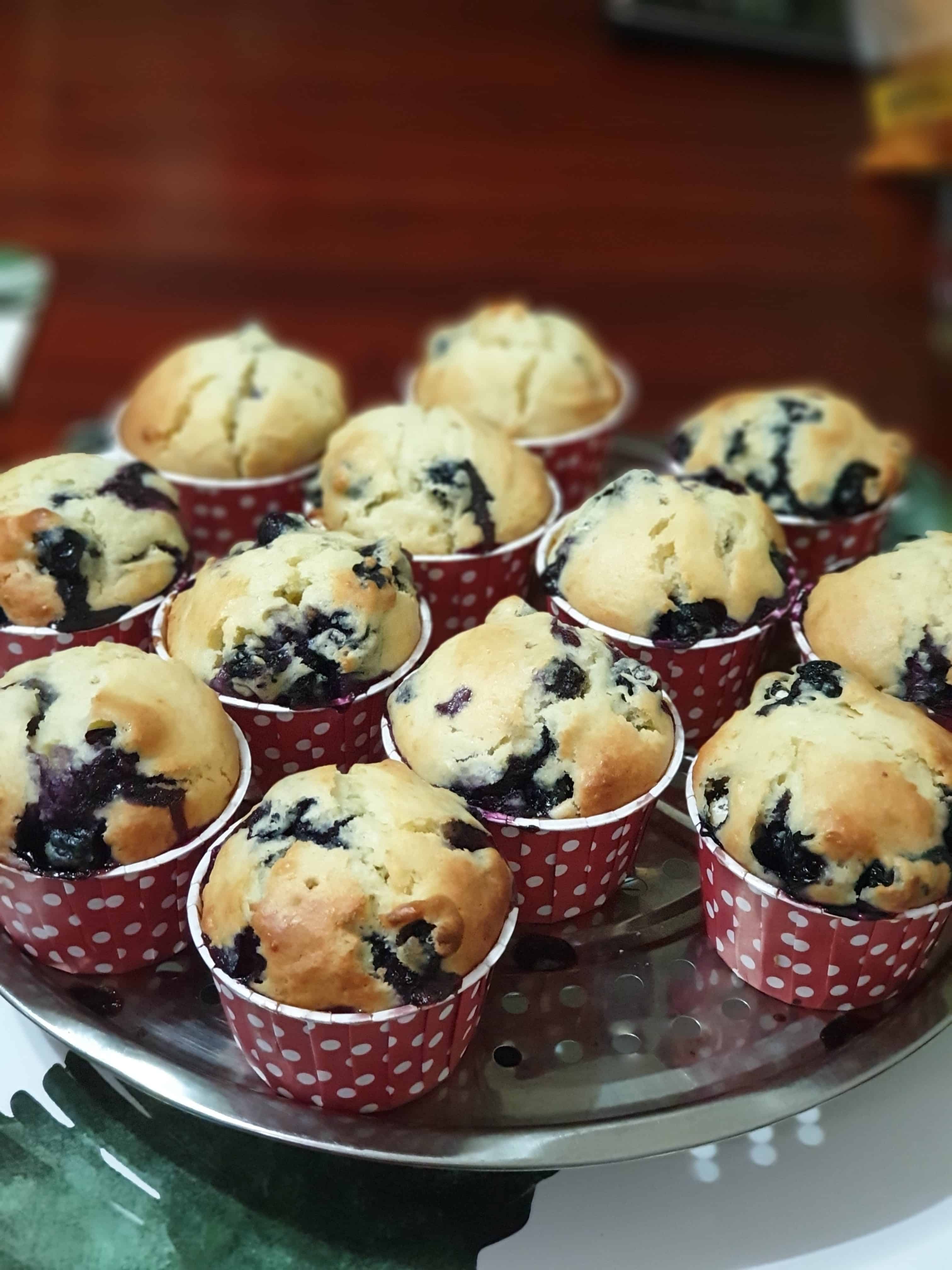 Baking Blueberries Muffins Chronicles of Walter